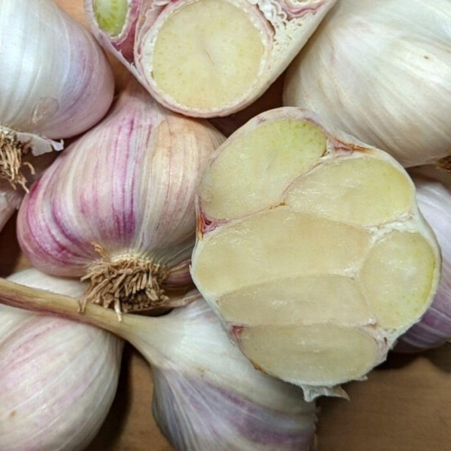 4 Softneck Garlic Bulbs for Planting, Large Seed Garlic, High Yield, Easy to Grow for Fall and Spring Garden