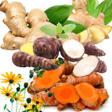 Bundle 9 (L Size) Ginger Roots, Jerusalem Artichoke Tubers and Turmeric Rhizomes for Garden Planting, Fresh Heirloom Roots for Gardens, Ready to Plant