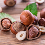 Set 2 Hazelnut Plant Live Shrub 6-10 Inches Tall, Hazelnut Tree in Quart Pot, Fast Growing Nut Tree for Outdoor Garden and Yard, Dormant in Winter