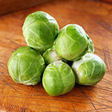 2 Brussel Sprouts Plants Live, Vegetable Live Plant, 4 Inc Pot, Brussel Sprouts Live Plant for Gardening