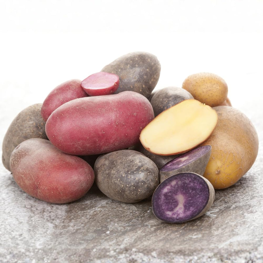 2 Lbs Mixed Potatoes for Planting - Assorted Potato Tubers for Outdoor Garden, Raised Beds, and Container Growing, Potatoes Bulbs Tubers Vegetable