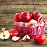 Apple Tree Live Plant, Apple Plant Live for Planting, Bareroot 2 Feet Tall, Apple Fruit Tree Ready to Grow Your Garden (Red Delicious Apple)