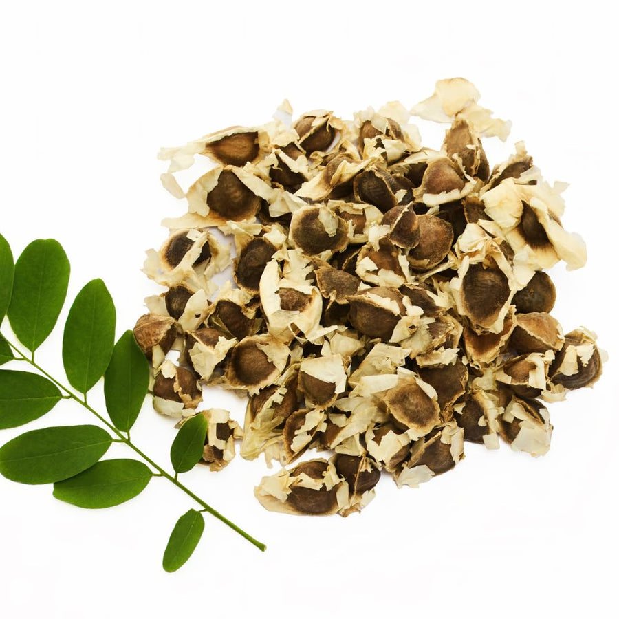 Set 100 Moringa Seeds, Moringa Oleifera Tree Seeds, Vegetable Seeds for Planting, Ready to Grow