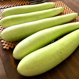 Pack 25 Bottle Gourd Seeds, Long Melon Climbing Vine, Vegetable Seed for Outdoor Gardening, Zone 8 to 11