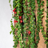 Lipstick Plants Live Houseplants, Curly Lipstick Plant in 3 Inch Pot, Rare Twisted Aeschynanthus Houseplant Indoor Outdoor Garden, Perennial Tropical Vine Plant