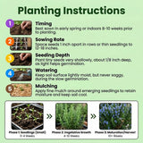 Pack of 400 Rosemary Seeds for Planting, Rosemary Seed, Heirloom Herb Seeds for Indoor Outdoor Garden