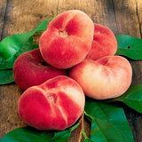 Donut Peach Tree Live Plant, 1.5-3 Ft in Tall, Peach Trees Fruit for Planting, Winter Hardy, No CA