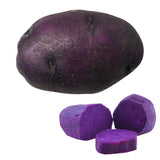 2 Lbs Purple Potato Tubers High Yielding for Outdoor Planting, Vegetables Potatoes Plants Bulbs Seeds, Heirloom Seed Potato Live Tuber