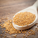 500 Florida Broadleaf Mustard Seeds, Green Mustard Vegetable Seed for Outdoor Garden, Easy Care for