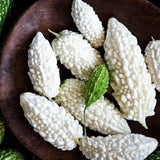 Bittermelon Plant Live 4'' Pot, White Jade Bittermelon Plant, 6-8 Inch Tall, Live Vegetable Plants, Tropical Climbing Plant for Outdoor Gardening, Well-Rooted