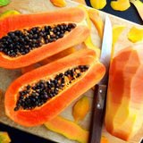 Dwaft Papaya Tree Live Plant 8 to 12 Inc Tall in Gallon Pot, Well-Rooted Fresh Fruit Plant Tropical Zones 9-11, No CA