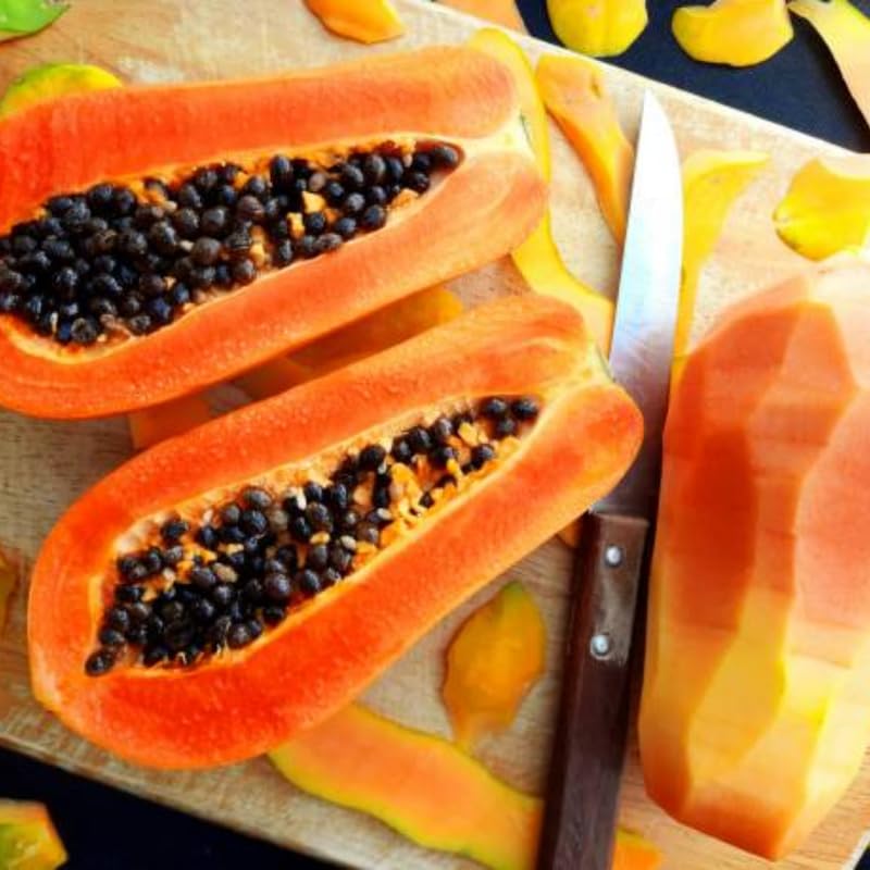 Dwaft Papaya Tree Live Plant 8 to 12 Inc Tall in Gallon Pot, Well-Rooted Fresh Fruit Plant Tropical Zones 9-11, No CA