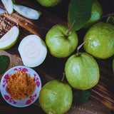 White Guava Tree Live Plant, 5 to 9 Inc, Guava Plant, Edible Home Garden Fruit Starter Planting