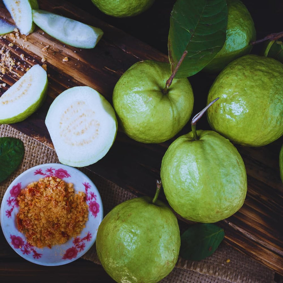 White Guava Tree Live Plant, 5 to 9 Inc, Guava Plant, Edible Home Garden Fruit Starter Planting