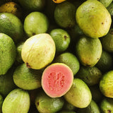 Set 2 Sweet Pink Guava Trees Plants Live, Pink Guava Seedlings Tree Fruit Plant, 4 to 9 Inc Tall, Pink Guava Plants
