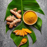 Pack 2 Curcuma Turmeric Ginger Plants Live 5 to 9 Inch Tall, Turmeric Live Plants, Ornamental Ginger Flowers