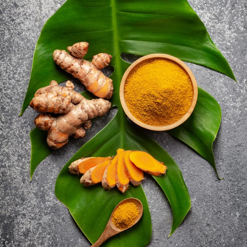 Pack 2 Curcuma Turmeric Ginger Plants Live 5 to 9 Inch Tall, Turmeric Live Plants, Ornamental Ginger Flowers