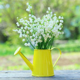 Set of 10 Lily of the Valley Bulbs for Planting, Sweet Fragrant Spring Blooms, Garden Beds, Containers, or Indoor Pots Growing