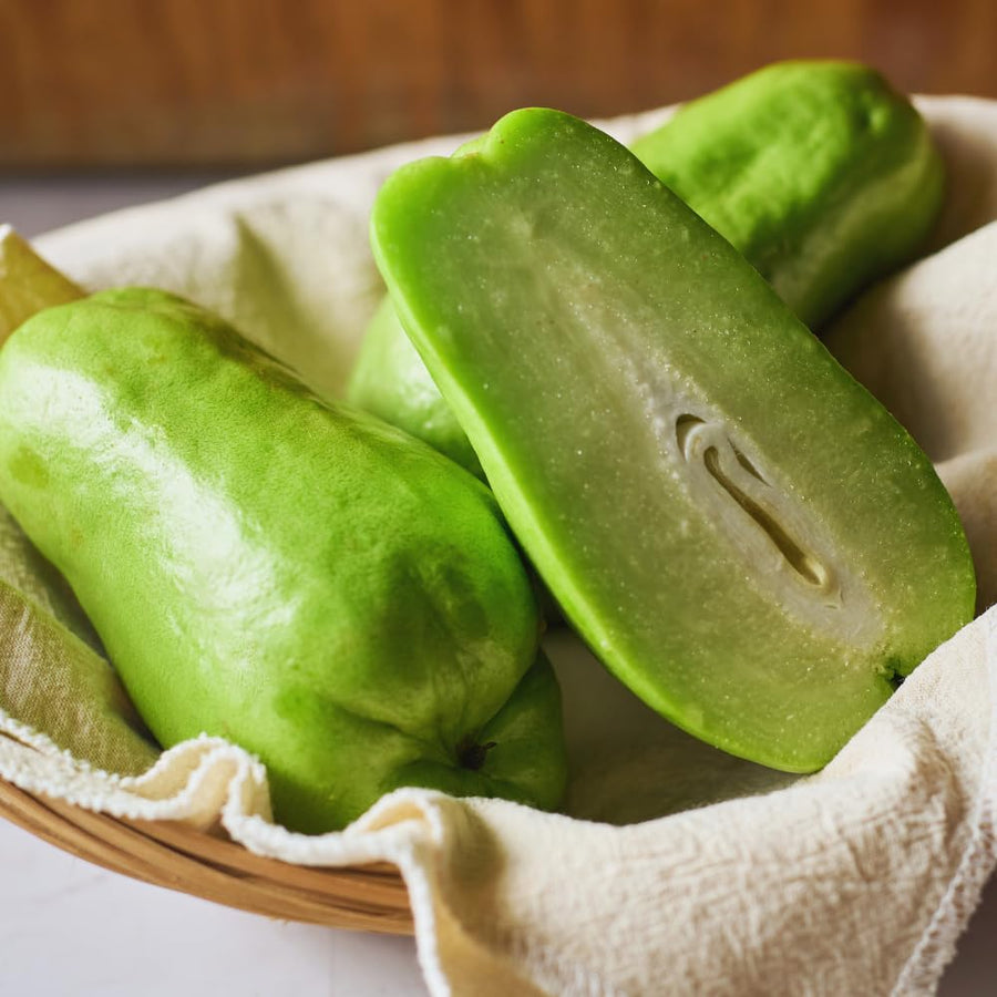 Chayote Squash Plant Live, Vegetable Plant Live, 8 to 10 Inc Tall
