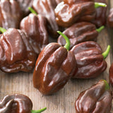20 Chocolate Scotch Bonnet Pepper Seeds for Planting, Heirloom Hot Pepper Variety