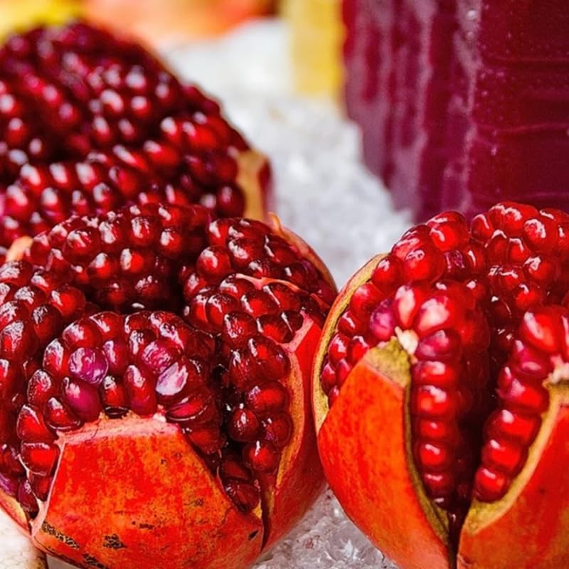 Live Pomegranate Tree, 4 Inch Potted, Hardy Pomegranate Fruit Plant for Garden, Patio and Landscape