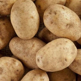 High Yielding Russet Potato Tubers, 1 Pound Potatoes Plants Bulbs for Outdoor Growing,Vegetables Heirloom Potato Seeds Live Tuber for Home Garden