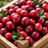 Cranberry Plant, Cranberry Seedling for Planting, 2-5 Inc Tall, Sweet Berries for Outdoor Garden, Container Growing