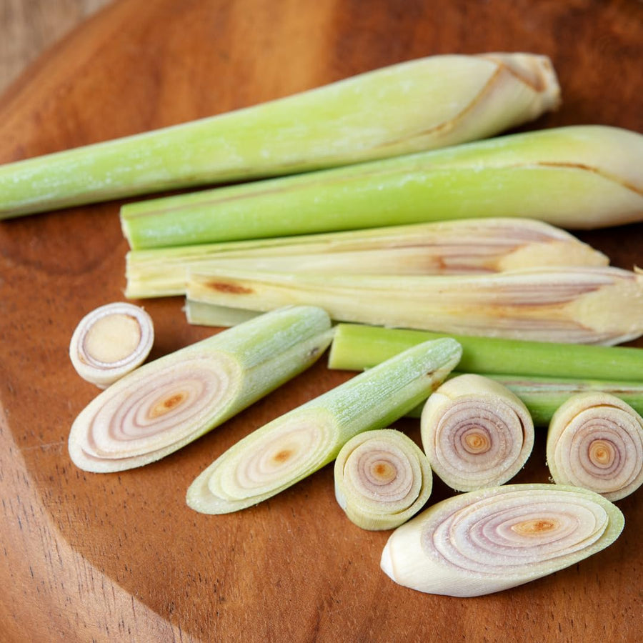 Pack 250 Lemongrass Seeds for Growing, Fragrant Herbs, Heirloom Herb Seeds, Suitable for Indoor or Outdoor Growing