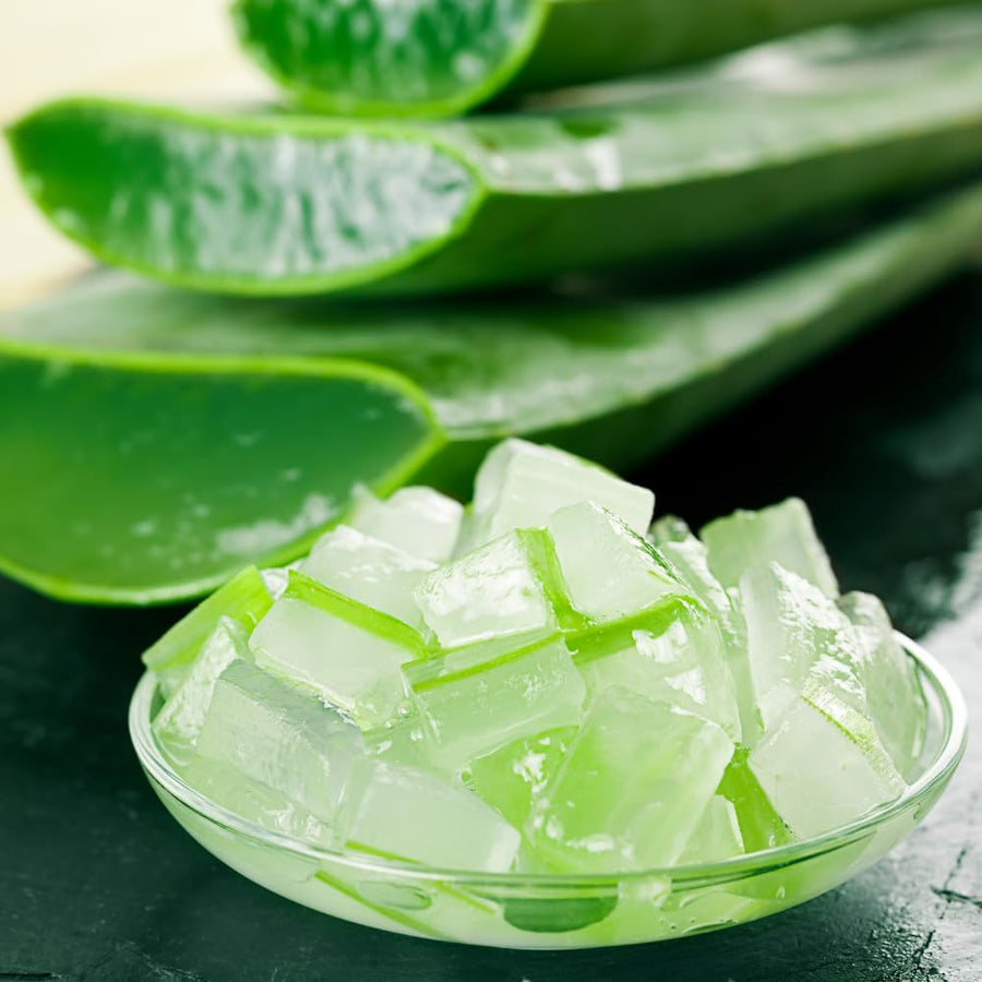 Aloe Vera Live Plant, Large Aloe Succulent Plant Live, 4 Inches Pot for Indoor Outdoor Houseplant