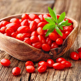 3 Red Goji Berry Trees Live Plant, Goji Berry Plant Live for Growing from 6-9 Inches Tall, Goji Berry Fruit Tree Plant Ready to Grow