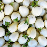 Pack of 100 White Round Eggplant Seeds for Planting, Assorted Eggplant Vegetable Seeds for Outdoor Gardening, Suitable for Home Garden Beds, Raised Beds, or Containers