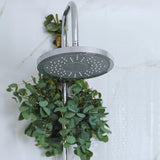 Baby Blue Eucalyptus Live Plant, Eucalyptus Plant Live Indoor, 4 to 6'' Long, Fragrant Eucalyptus Tree