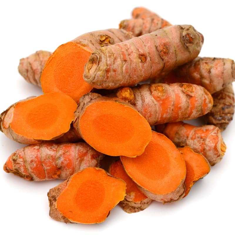 Pack 2 Curcuma Turmeric Ginger Plants Live 5 to 9 Inch Tall, Turmeric Live Plants, Ornamental Ginger Flowers