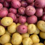 2 LB Mixed Potato Tubers, Assorted Potato for Outdoor Garden and Container Growing, Mix Potatoes Bulbs Tubers Vegetable for Backyard Garden, Easy to Plant