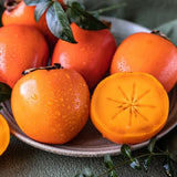 American Persimmon Tree Live Plant, Persimmons Fruit Plant Live, Zone 9 to 11, 5 to 7 Inc Tall Well Rooted
