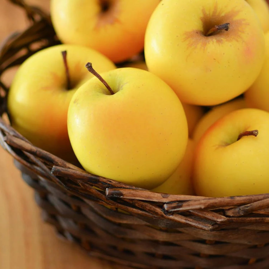 1 Apple Tree Live Plant for Planting, 2 Feet Height, Bareroot, Sweet Apple Plant Live for Planting Outdoor, Apple Fruit Tree (Yellow Delicious Apple)
