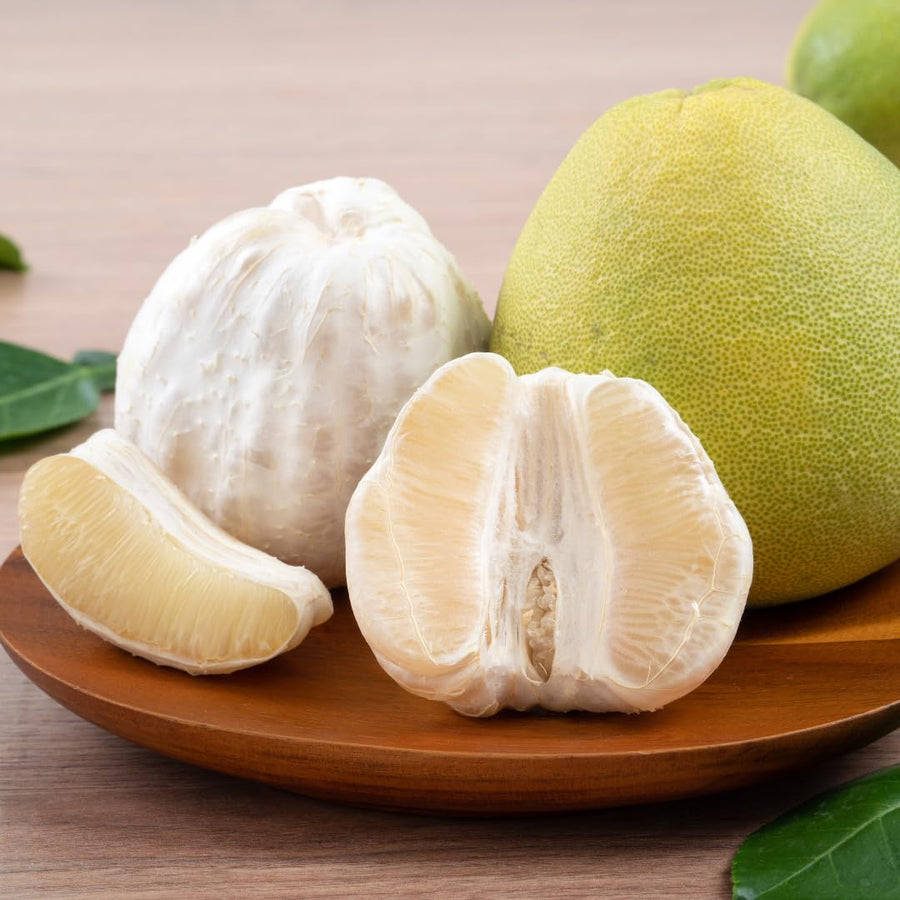3 Years Old White Pomelo Grapefruit Tree Live Plant, High Yield, 3 Feet Tall Grafted Citrus Tree, Big White Pumelo Fruit for Zones 9-11