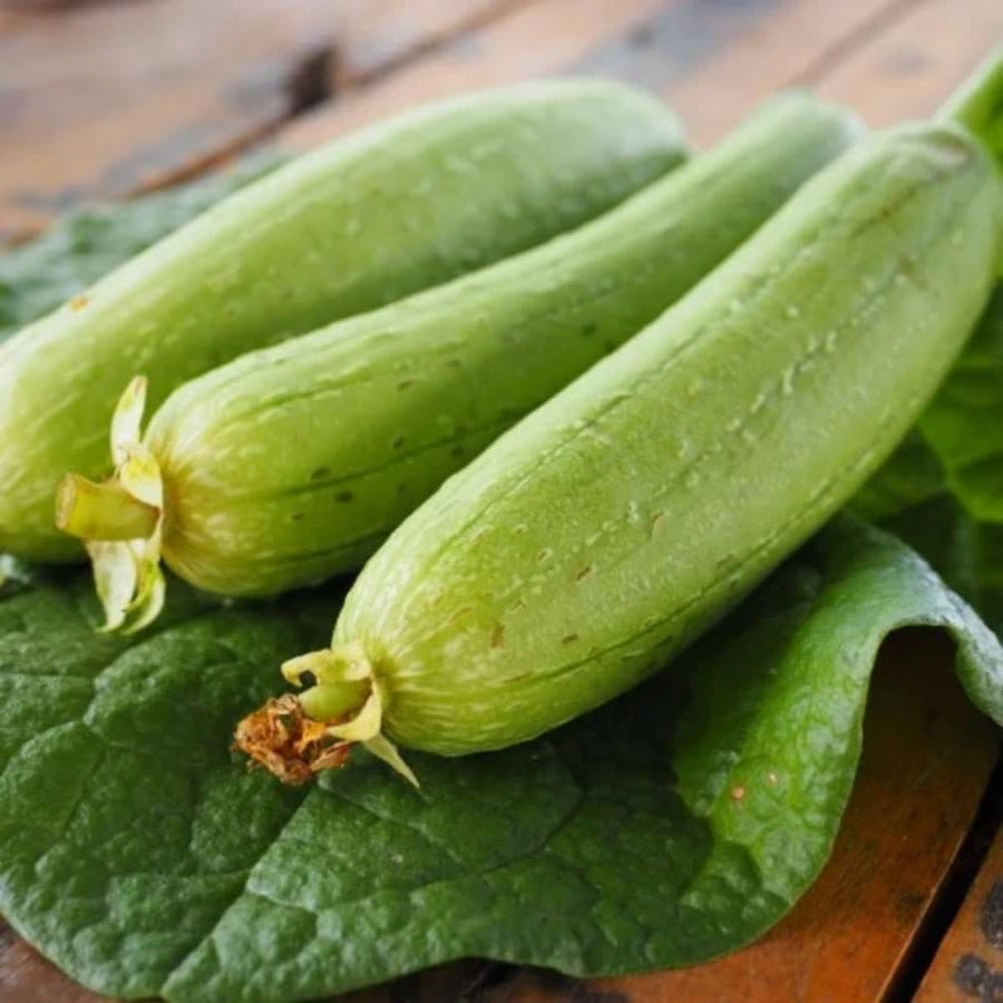 Pack 70 Luffa Sponge Gourd Seed for Planting, Luffa Vegetable Seeds for Planting, Loofah Seed