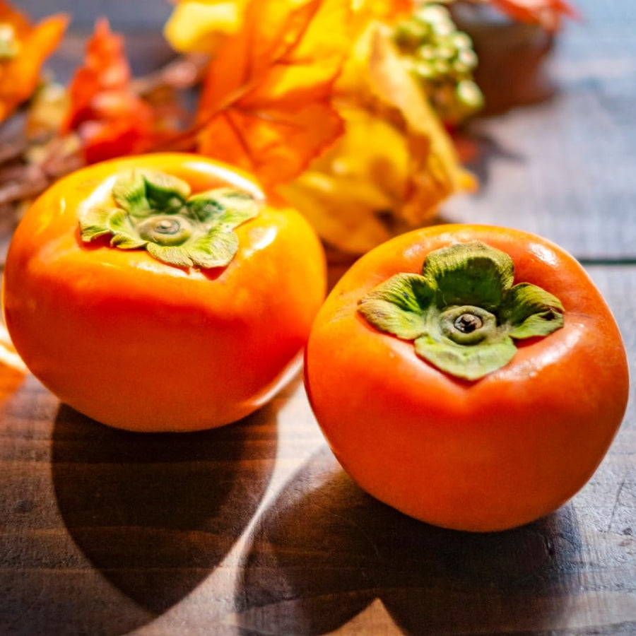 02 Persimmon Trees Live Plants Bare Root, 1–2 Ft Tall Fruit Tree Plants, Hardy Persimmon Trees for Outdoor Garden Growing Spring