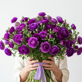 25 Purple Large Ranunculus Bulbs for Planting, Ranunculus Corms, Buttercup Flower Bulbs Spring Fall Growing