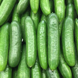 60 Smooth Cucumber Seeds for Planting, Cucumber Vegetable Seeds for Outdoor Growing