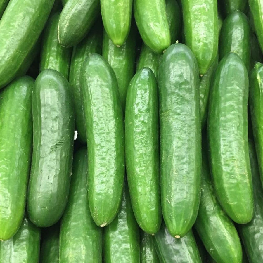 60 Smooth Cucumber Seeds for Planting, Cucumber Vegetable Seeds for Outdoor Growing