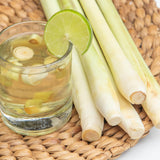 Pack 100 Lemongrass Seeds for Growing, Lemongrass Seeds, Heirloom Culinary Herb, Ready to Grow
