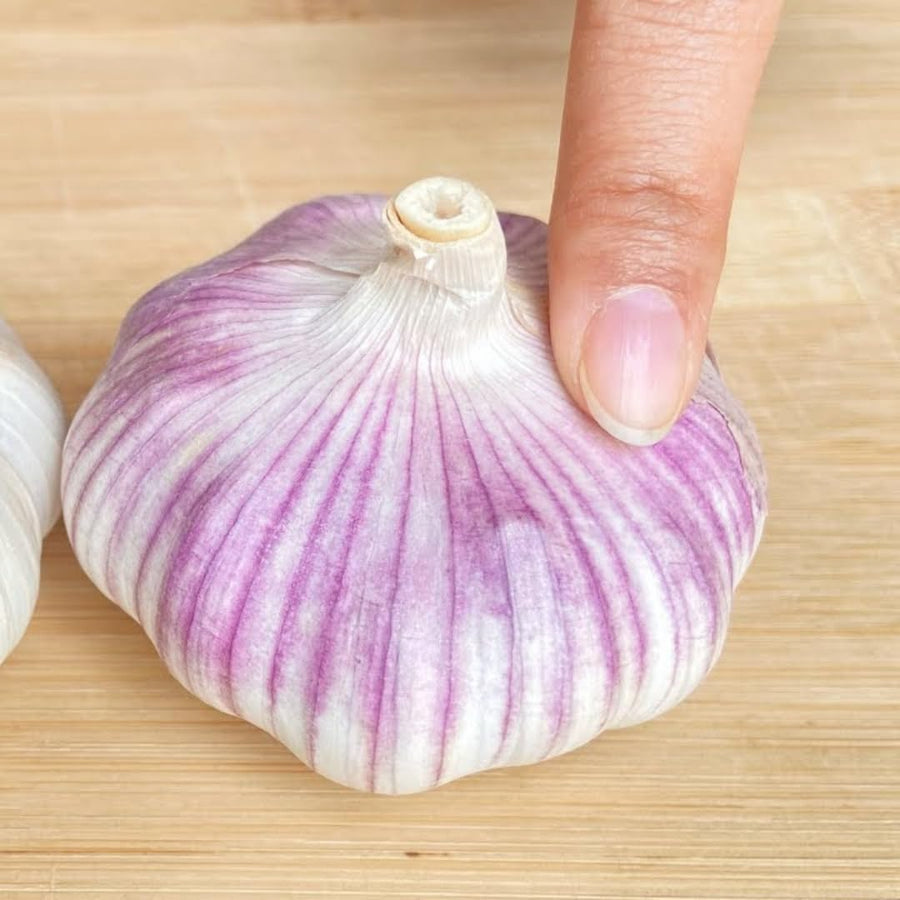 1 LB Jumbo Size Blue Music Garlic for Planting in Spring, Softneck Hardneck Garlic Bulbs for Planting, Fresh and High Yield, Cold Hardy, Fast-Growing, 5-6 Bulbs Garlic