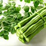 Set 35+ Moringa Oleifera Seeds for Planting, Moringa Seeds, Easy Care Tree, Ideal for Indoor Outdoor Gardening