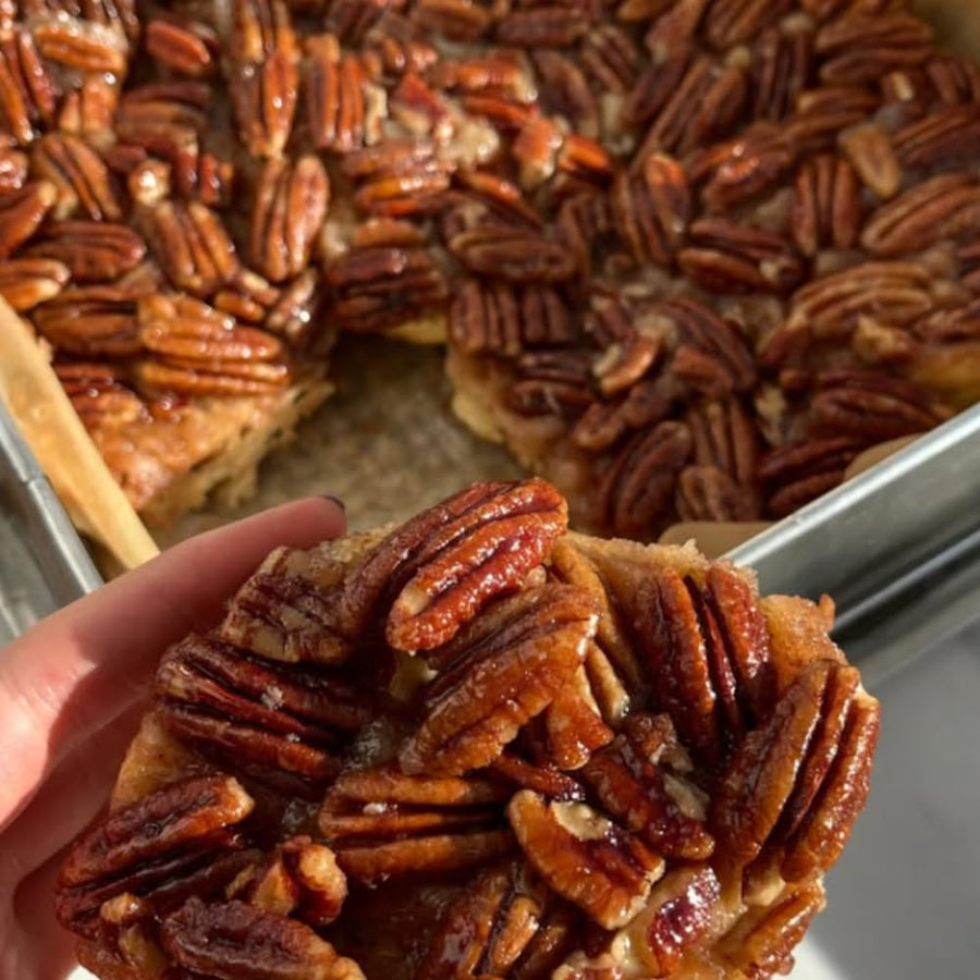 Pecan Tree Live Plant, 10-12 Inches Tall, Edible Nut Tree, Pecan Tree Seedling for Outdoor Planting, Ready to Grow