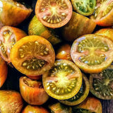 25 Grape Tomato Seeds, Vibrant Tomato Plant Seeds for Planting Outdoor Garrden