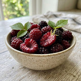 Thornless Boysenberry Plant, Boysenberry Plant for Planting, 5-7 Inc Tall, Sweet Boysenberries for Indoor Outdoor Growing