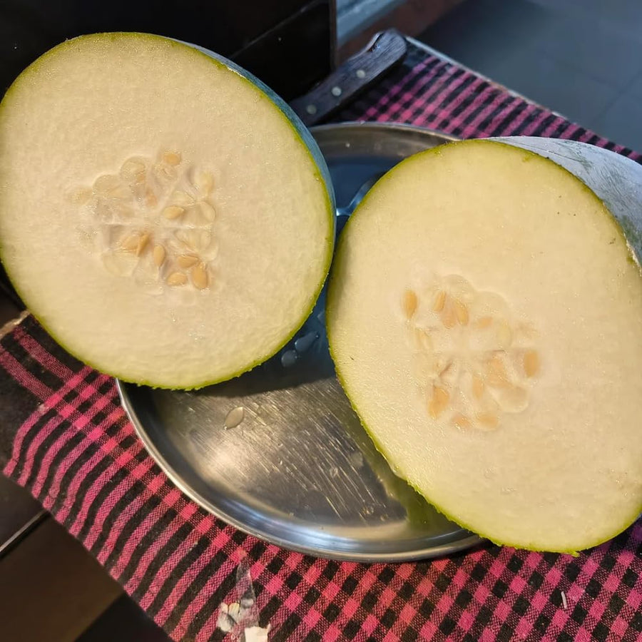 60 Wax Gourd Winter Melon Round Seeds, Wax Gourd Seed, Vegetable Seeds for Outdoor Garden