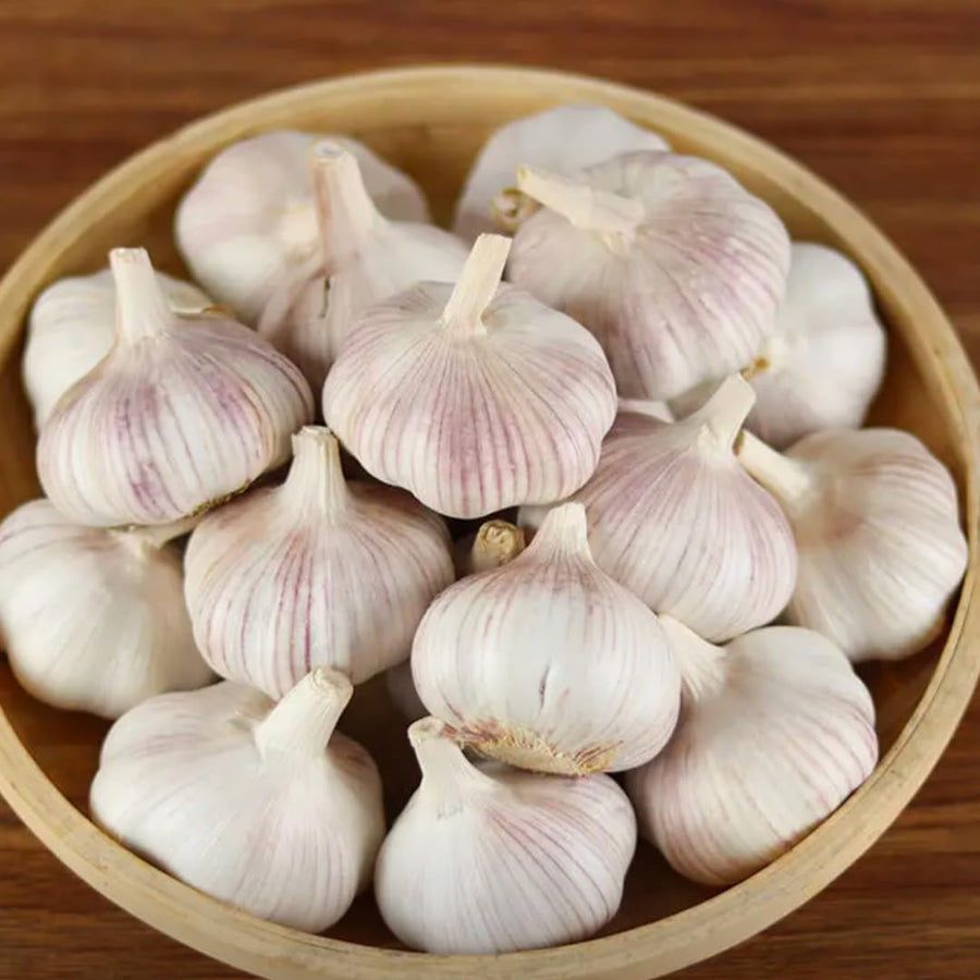 1 LB Jumbo Size Softneck Garlic for Planting in Spring, Soft Neck Garlic Bulbs for Planting, Fresh and High Yield, Cold Hardy, Fast-Growing, 5-6 Bulbs Garlic